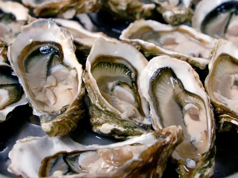 No need to pay charges at expensive restaurants for oysters